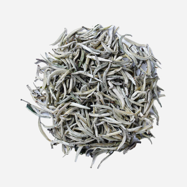 Silver Needle
