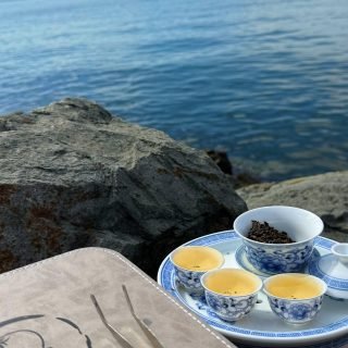 ✨ A moment in nature to slow down and relax 🌿🍵
Take a sip, breathe deeply, and let the world pause for just a while.
#HenceTea #TeaTastingIsFriendMaking #MindfulMoments #NatureAndTea