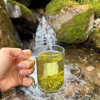 Spring in Every Sip 🍃💧
Sitting beside flowing spring water, holding a warm cup of freshly brewed green tea… this is my kind of peace. 🌿
The sound of nature, the clarity of the tea, and the gentle breeze all remind me that spring is a season of renewal — for the earth and for ourselves.
As the water flows, so does life. As the tea opens, so does the heart. 💚
Welcoming the new spring with gratitude, calmness, and a clear mind.
May this season bring you freshness, growth, and quiet strength. 🌱✨
#HenceTea #TeaTrip #GreenTeaMoments #SpringVibes #ZenLife #TeaLovers #NatureAndTea #MindfulLiving #WelcomeSpring 🍵