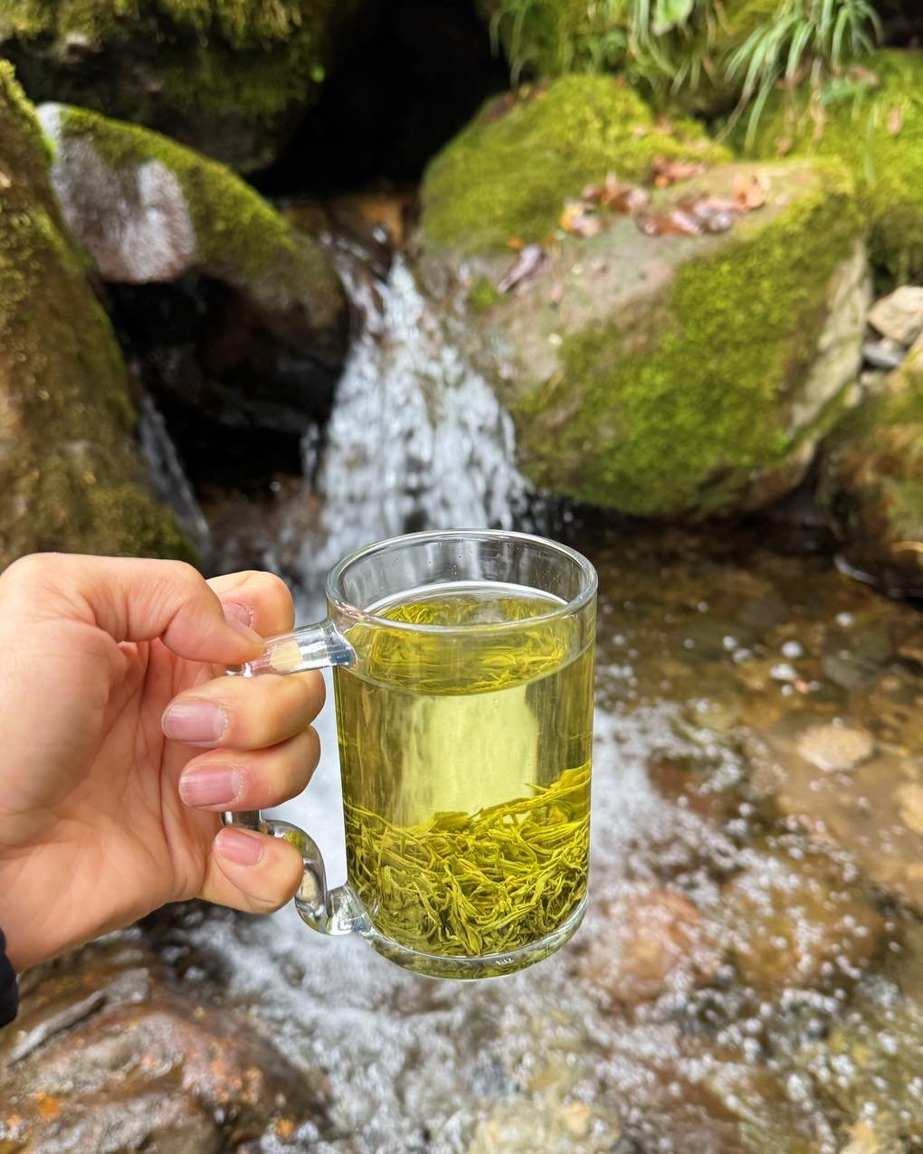 Spring in Every Sip 🍃💧
Sitting beside flowing spring water, holding a warm cup of freshly brewed green tea… this is my kind of peace. 🌿
The sound of nature, the clarity of the tea, and the gentle breeze all remind me that spring is a season of renewal — for the earth and for ourselves.
As the water flows, so does life. As the tea opens, so does the heart. 💚
Welcoming the new spring with gratitude, calmness, and a clear mind.
May this season bring you freshness, growth, and quiet strength. 🌱✨
#HenceTea #TeaTrip #GreenTeaMoments #SpringVibes #ZenLife #TeaLovers #NatureAndTea #MindfulLiving #WelcomeSpring 🍵