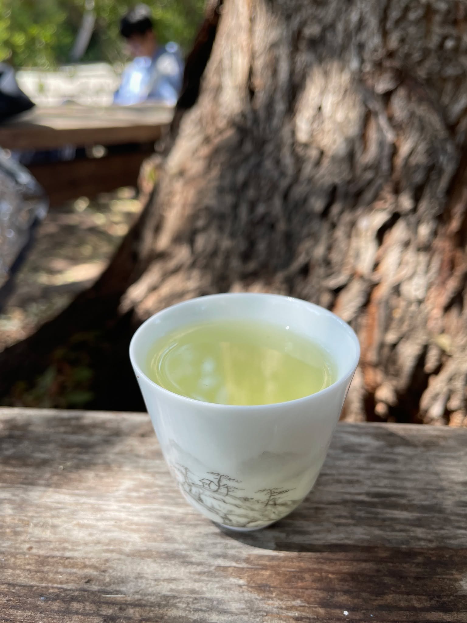 West Lake Longjing — one of China’s most celebrated green teas.
Light, nutty, and refreshing with every sip 🍃

#DragonWell #Longjing #PremiumTea #ChineseTea #TeaCulture #TeaRitual #HenceTea #TeaLovers #GreenTea