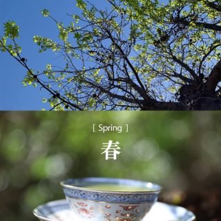 [ 春 Spring ] A cup of fresh green tea carries the breath of trees, the warmth of sunlight, and the calm of nature.

Slow down, sip, and feel the season.

#SpringTea #GreenTea #ChineseTea #Longjing #teatime