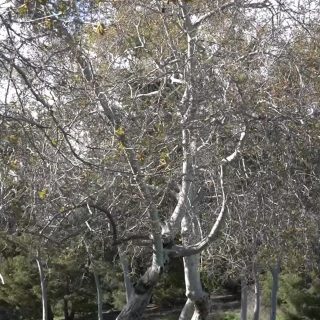 Taking tea outside this spring 🍃
Slowing down, breathing deeper, and enjoying the moment.
One cup at a time.
#SpringVibes #TeaLovers #GreenTea #SlowLiving #HenceTea