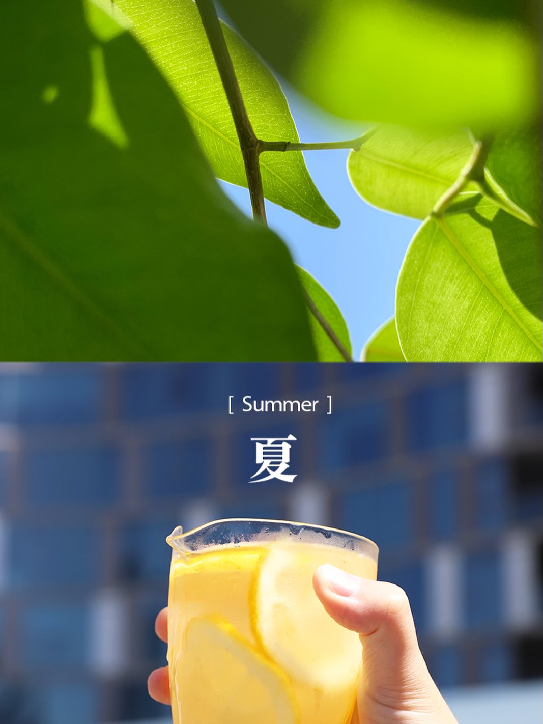 Summer (夏)is here.Welcome it slowly, with something cool in hand.#summer #summervibes #icedtea #chinesetea #hencetea