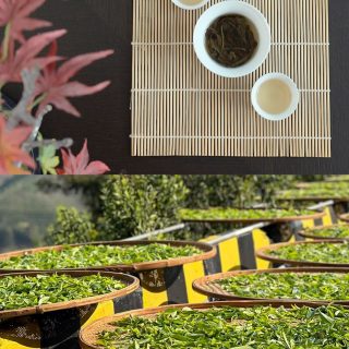 This is what Mi Lan Xiang looks like before it reaches your cup.Leaves hand-picked from Phoenix Mountain, laid out to wither in the sun. Each basket holding the beginning of that honey orchid fragrance.#milanxiang #oolongtea #chinesetea #farmtocup #hencetea