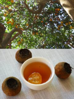 Little Citrus Pu-erh tea— rich, earthy Pu-erh infused with the notes of a bright and fresh citrus shell 🍊Brew a cup in the cool shade of a sturdy tree, and you’ll find the perfect source of comfort on a summer day.#fruittea #puerh #chinesetea #slowliving #hencetea